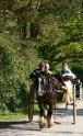 Horse drawn carriage Ireland